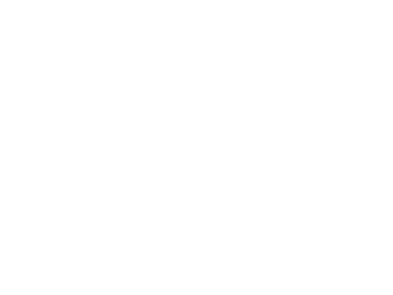 rene taylor photography logo wht